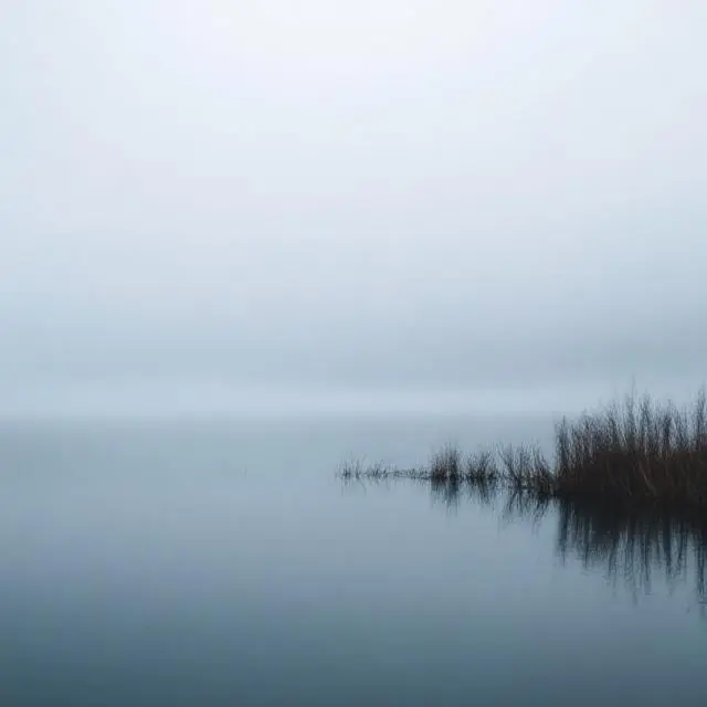 Deep & Meaningful Lake View Captions 