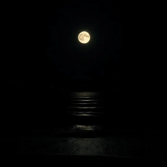 Short Night Beach Captions